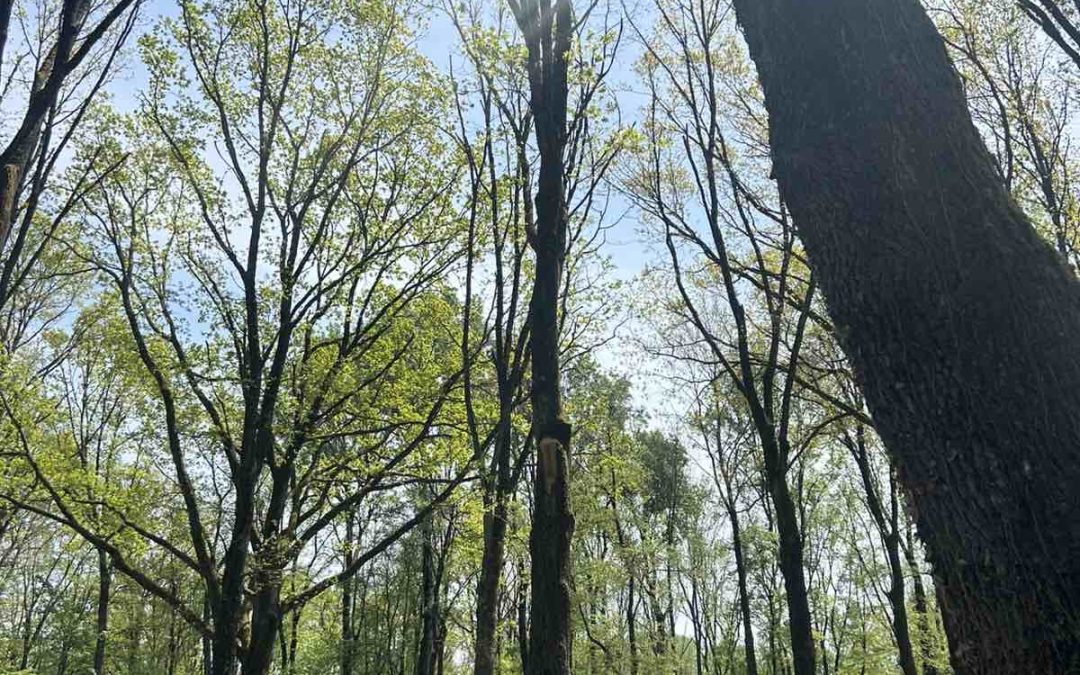 Сјећањем и поменом чувамо поштоваање према људима који су изгубили животе!