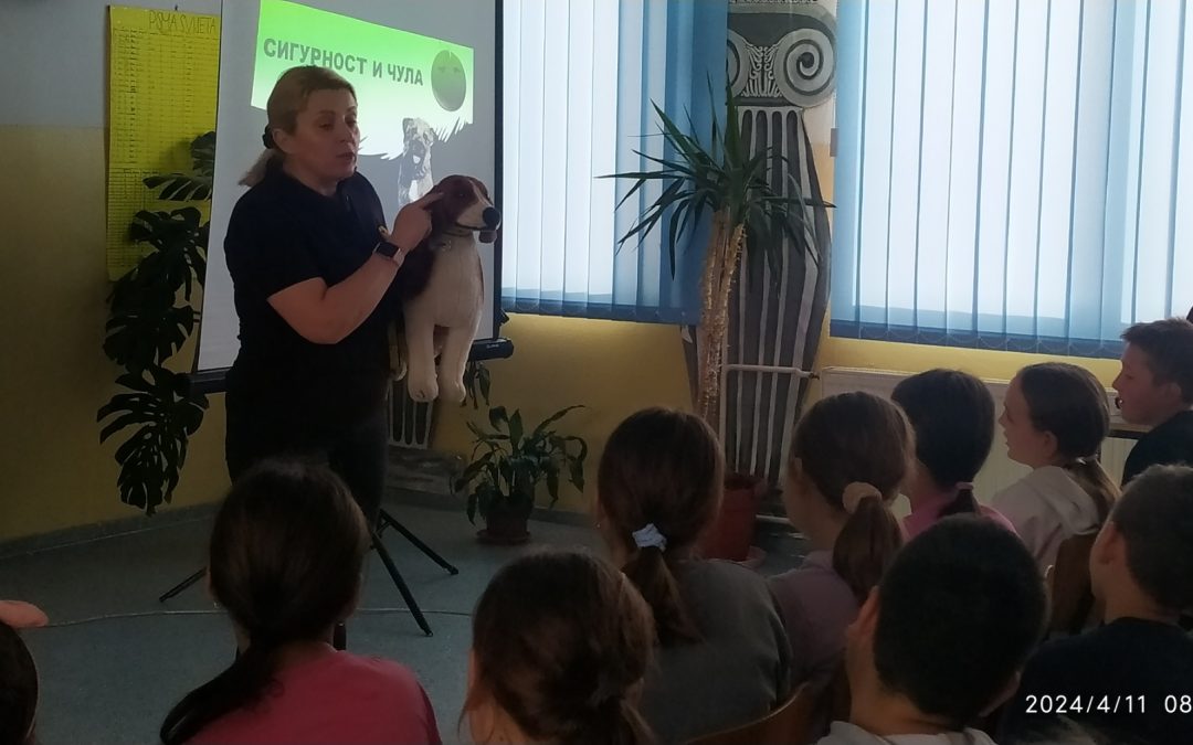 Dogs trust