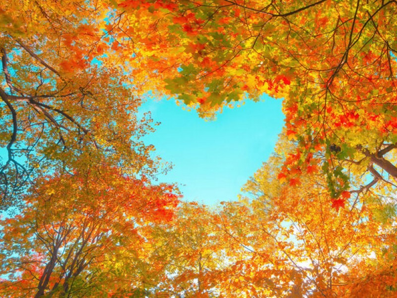 Јесен у нашој школи